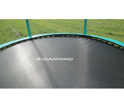  Батут Diamond Fitness Black Edition 8ft с внутренней сеткой и лестницей, фото 4 